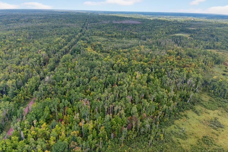 64838 Kingsdale Rd, Sandstone, MN 55072