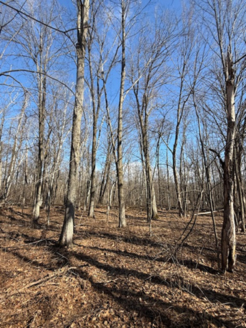 TBD Woodchuck Trl, Cushing, MN 56443