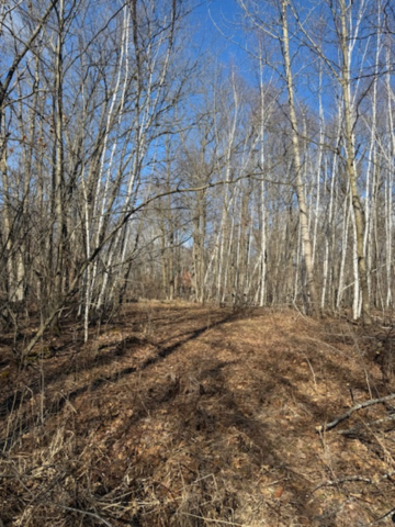 TBD Woodchuck Trl, Cushing, MN 56443