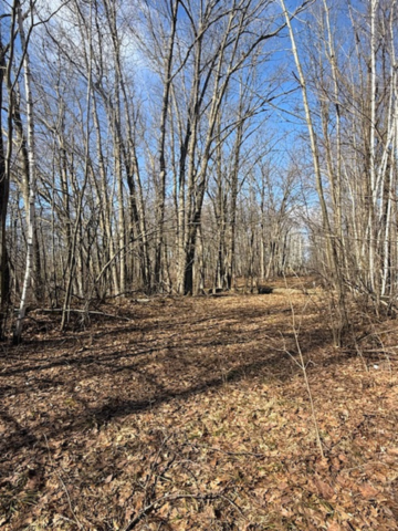 TBD Woodchuck Trl, Cushing, MN 56443