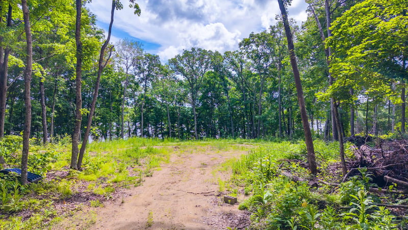 36363 County Highway 34, Ogema, MN 56569