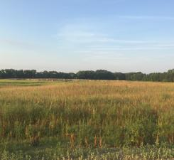 8354 169th Ave NE, Forest Lake, MN 55025