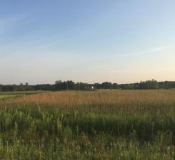 8354 169th Ave NE, Forest Lake, MN 55025