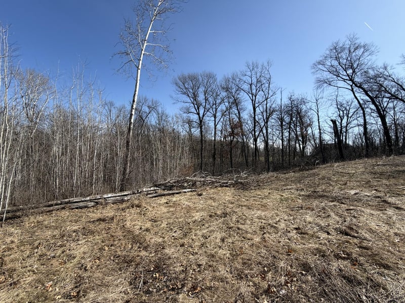 39157 Rocky Ct, Sauk Centre, MN 56378