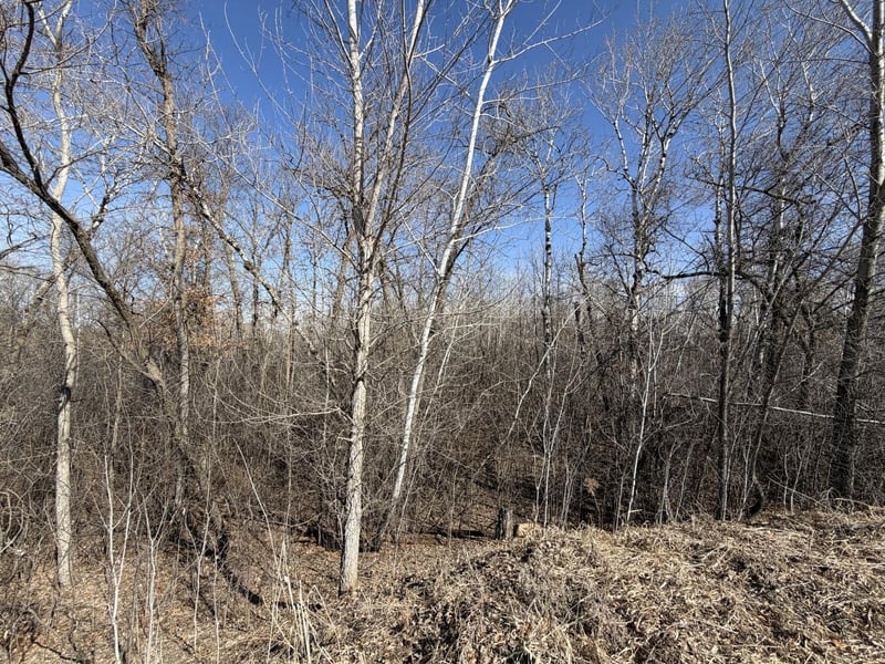 39160 Rocky Ct, Sauk Centre, MN 56378