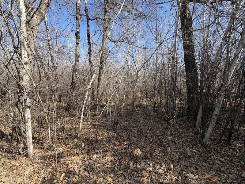 39160 Rocky Ct, Sauk Centre, MN 56378