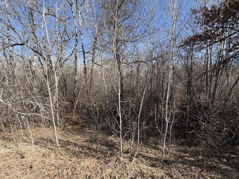 39160 Rocky Ct, Sauk Centre, MN 56378