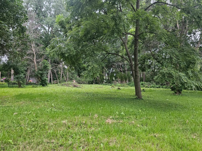 822 Palm Ct, North Saint Paul, MN 55109
