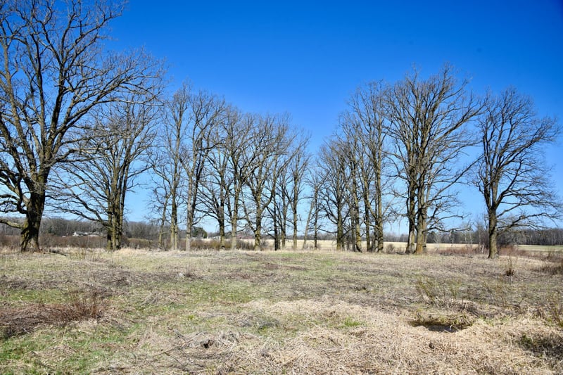 19XXX 150th Ave, Milaca, MN 56353
