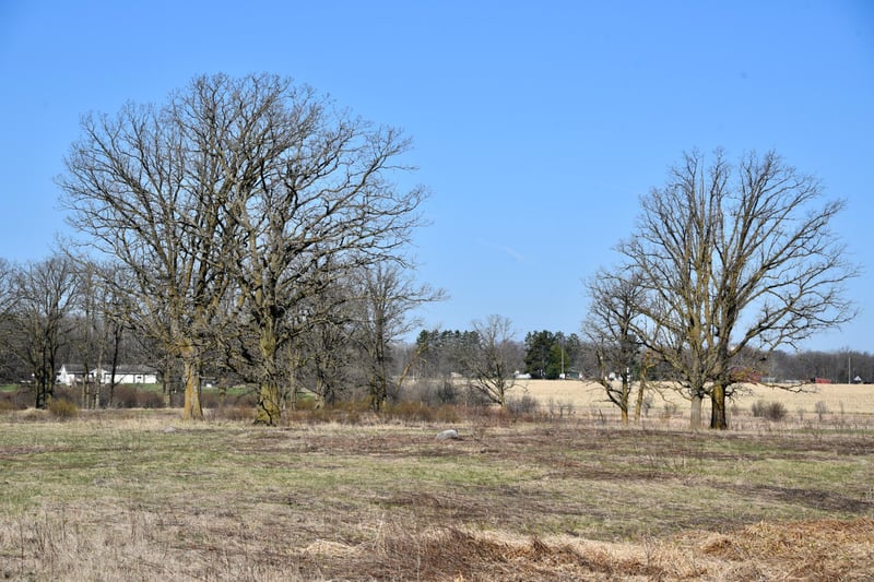 19XXX 150th Ave, Milaca, MN 56353