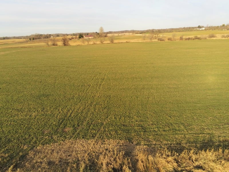 Lot 2 Rush Lake Trl, Braham, MN 55006