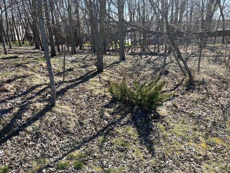 1127 Doris Kohler Cir, Detroit Lakes, MN 56501