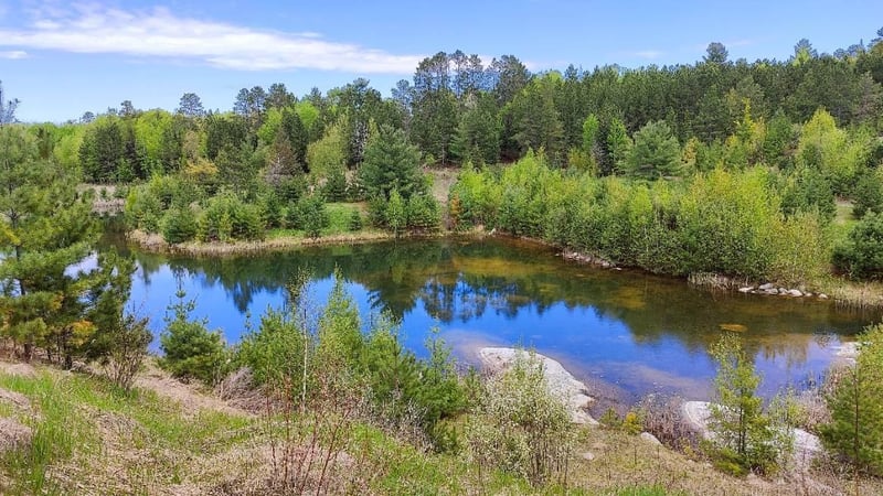80064 Osprey Ps, Tower, MN 55790