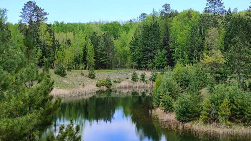 80064 Osprey Ps, Tower, MN 55790