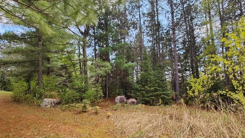 80064 Osprey Ps, Tower, MN 55790