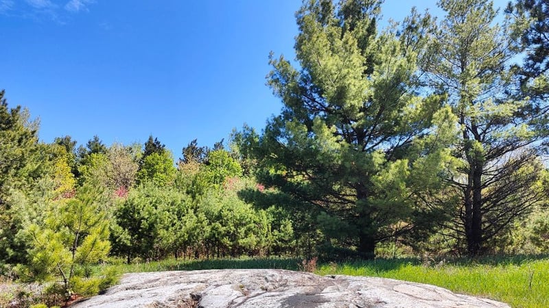 80036 Sweet Fern Loop, Tower, MN 55790