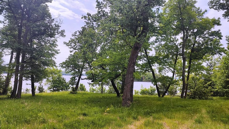 4839 Ambassador Point Ct, Orr, MN 55771