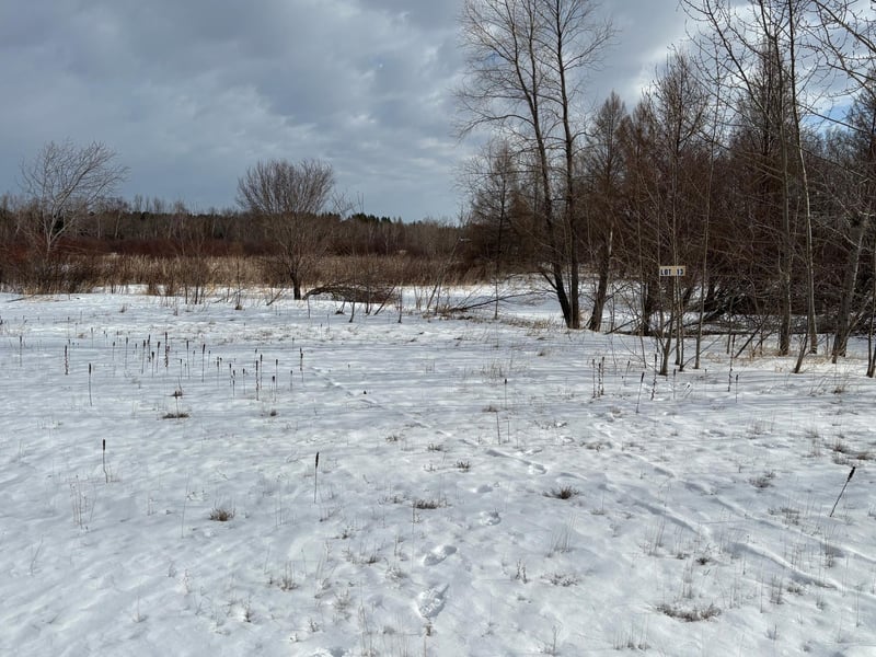 lot 13 Irvine Ave NW, Bemidji, MN 56601