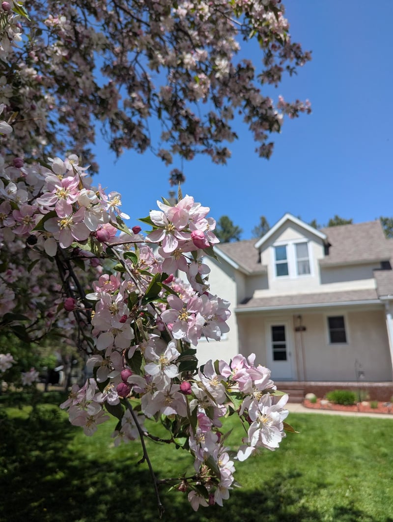 111 E Elm Ave, Upsala, MN 56384