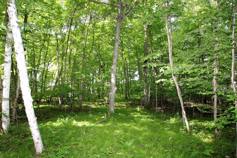 4967X Fish Lake Rd, Pelican Rapids, MN 56572