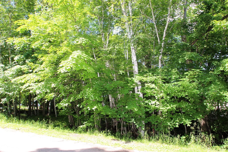 4967X Fish Lake Rd, Pelican Rapids, MN 56572