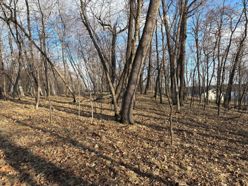 495XX Fish Lake Rd, Pelican Rapids, MN 56572