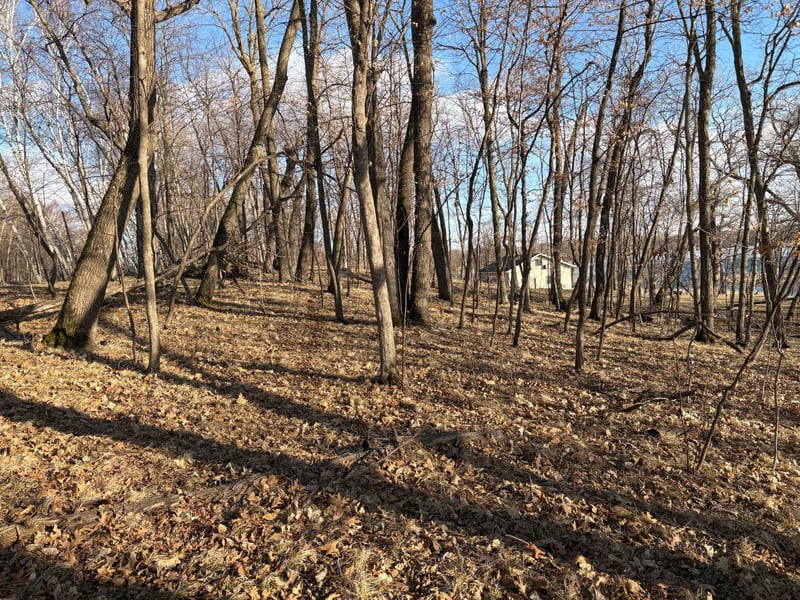 495XX Fish Lake Rd, Pelican Rapids, MN 56572
