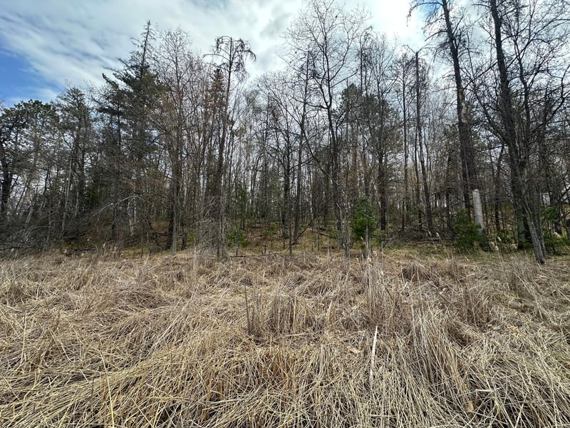 TBD Dobosenski Rd, Sturgeon Lake, MN 55783