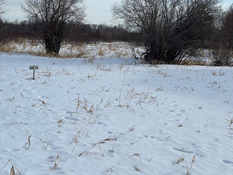Lot 11 Irvine Ave NW, Bemidji, MN 56601