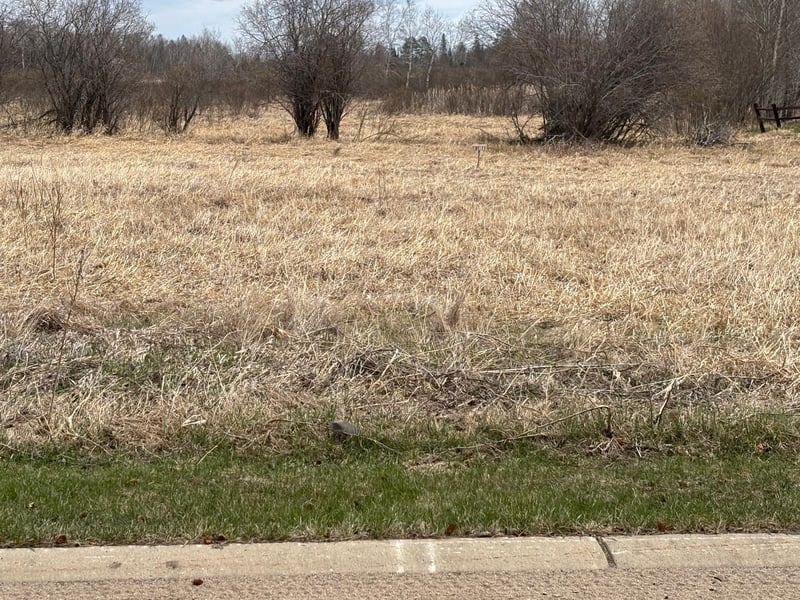 Lot 11 Irvine Ave NW, Bemidji, MN 56601