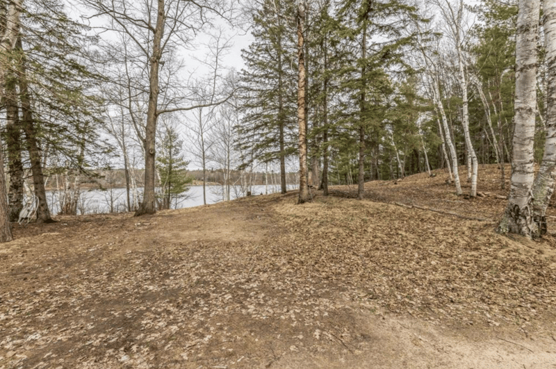 TBD Birch Bay Ln NE, Outing, MN 56662