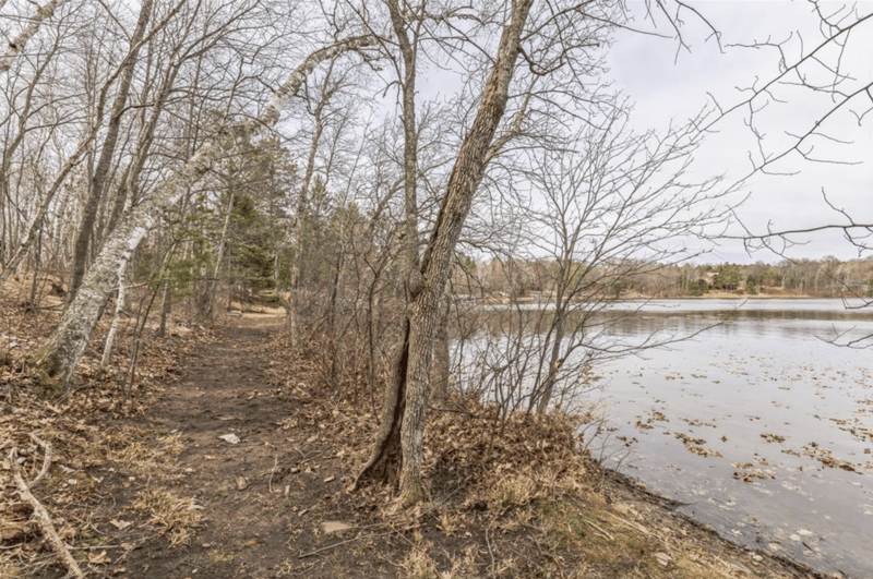 TBD Birch Bay Ln NE, Outing, MN 56662