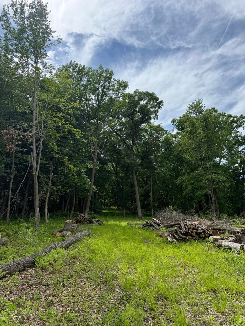 12216 Arcola Trl N, Stillwater, MN 55082