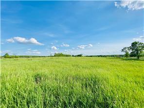 1255 130th Ave, Ogilvie, MN 56358