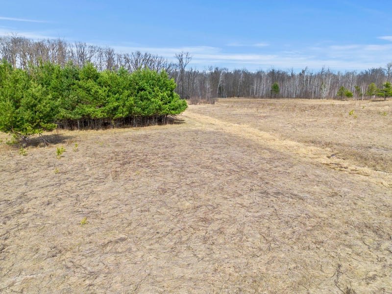 XXX Rice Rd, Brook Park, MN 55007