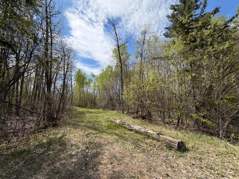 51265 Vagabond Loop, Bemidji, MN 56601