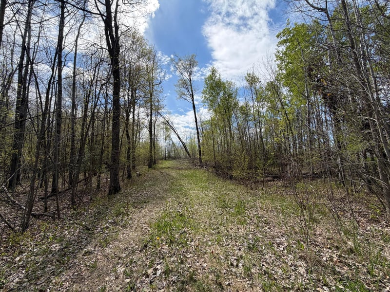 51265 Vagabond Loop, Bemidji, MN 56601