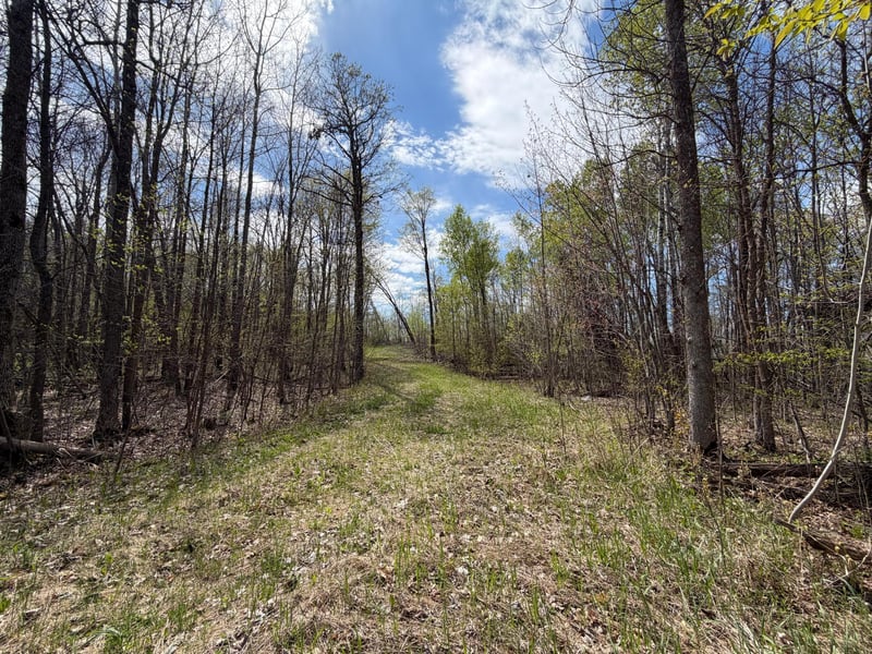 51265 Vagabond Loop, Bemidji, MN 56601