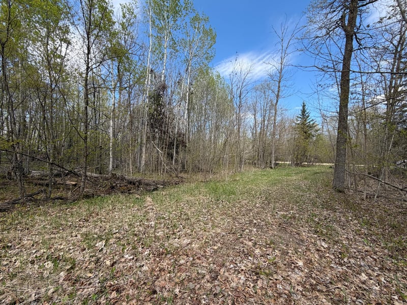 51265 Vagabond Loop, Bemidji, MN 56601
