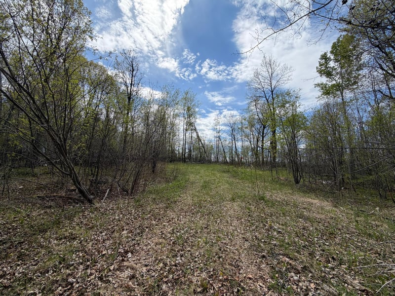 51265 Vagabond Loop, Bemidji, MN 56601
