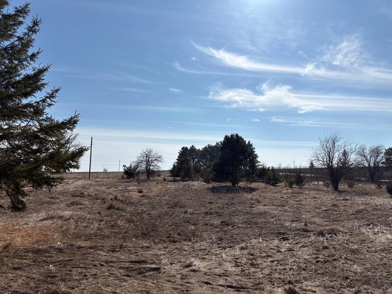 TBD Cty 9, Pelican Rapids, MN 56572