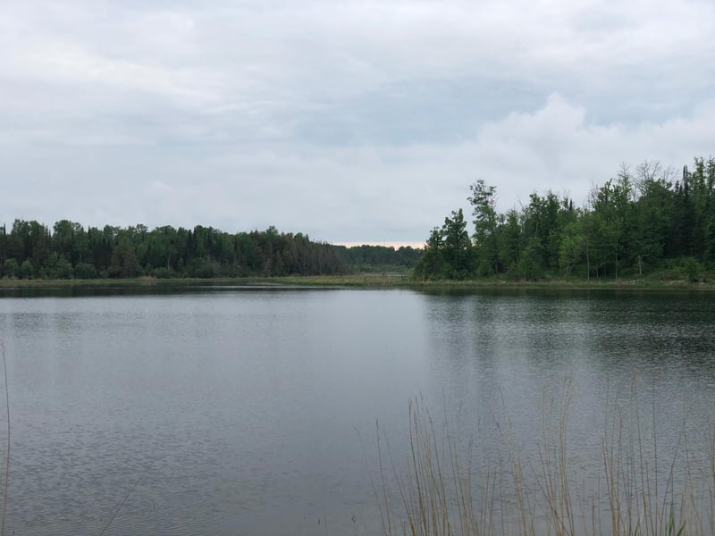 9a Hines Road Ne, Hines, MN 56647