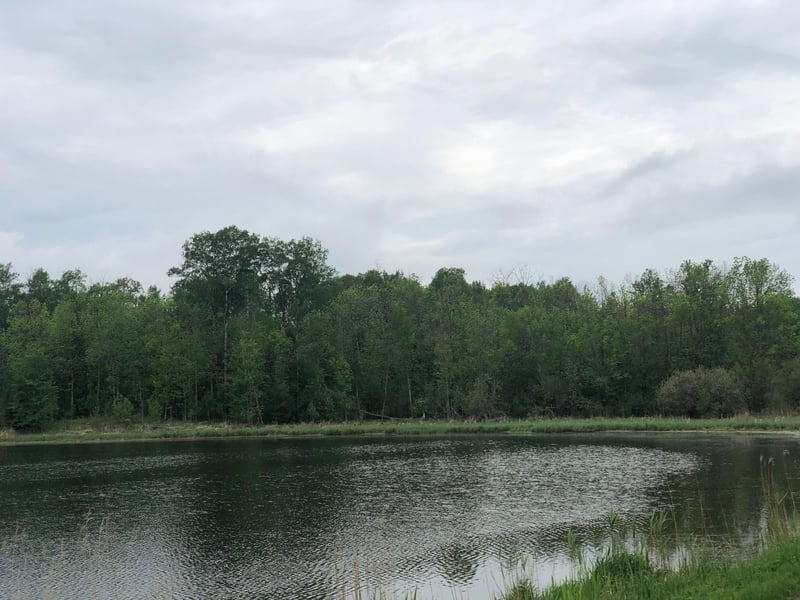 9a Hines Road Ne, Hines, MN 56647