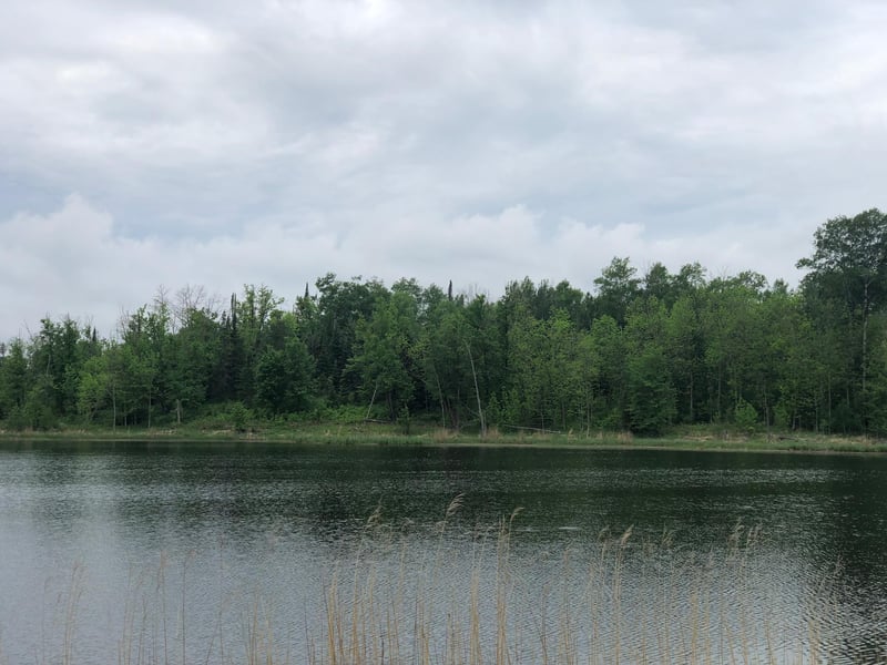 9a Hines Road Ne, Hines, MN 56647