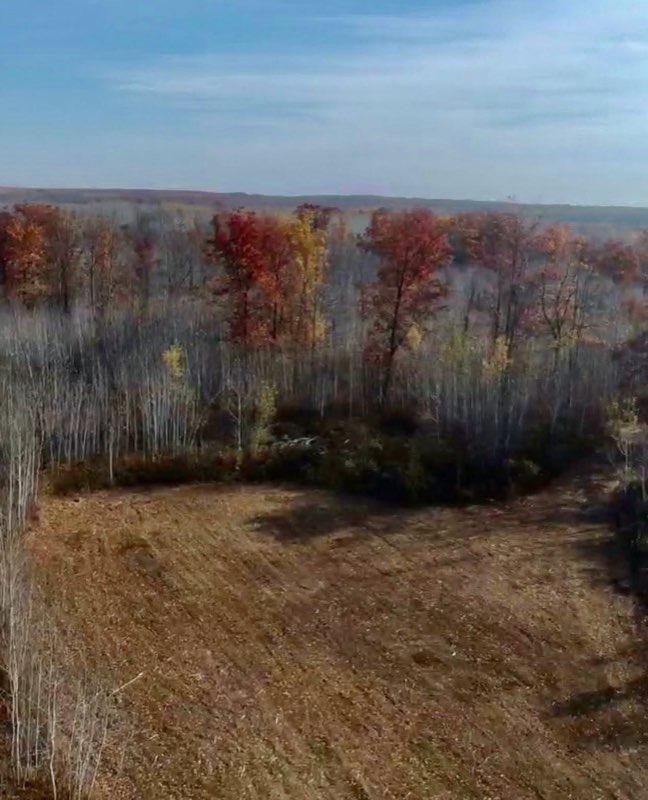 64997 Rutabaga Rd, Sandstone, MN 55072