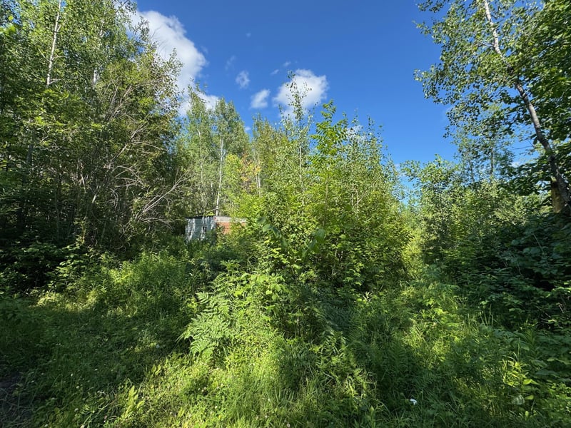 40a Bridgie Rd, Northome, MN 56661