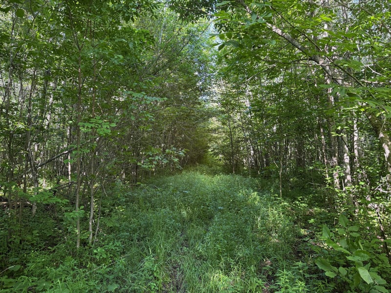 40a Bridgie Rd, Northome, MN 56661