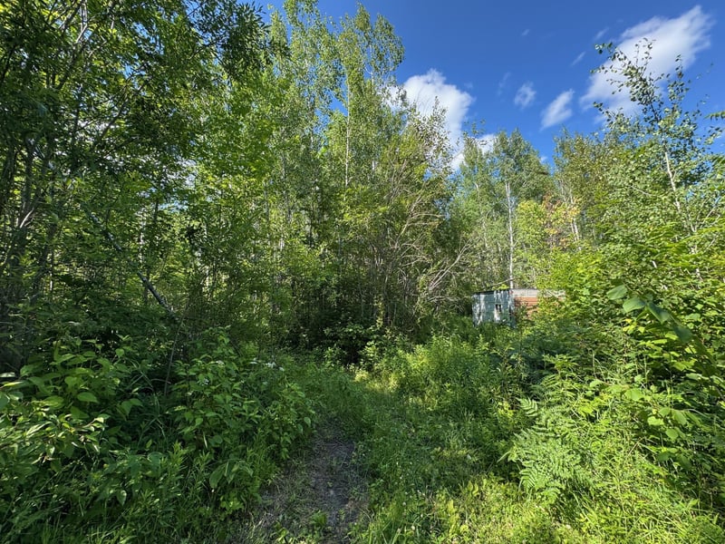 40a Bridgie Rd, Northome, MN 56661