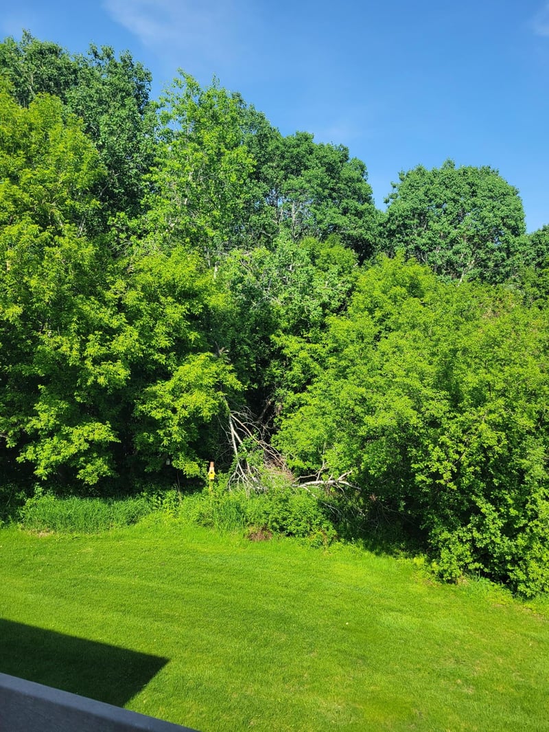 1564 14th St SE, Saint Cloud, MN 56304