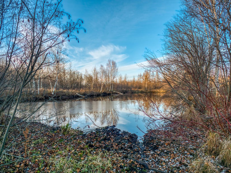 TBD Dora Lake Rd, Kinghurst Twp, MN 56661